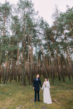 Güzel yeni evli çift yeşil kozalaklı ormanda poz. Tam uzunlukta dış mekan portresi