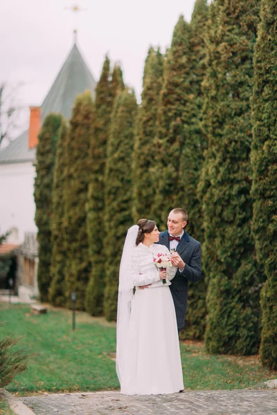 Guapo novio suavemente cogido de la mano de su elegante nueva esposa mientras ambos posan cerca de fila de cipreses en el parque verde — Foto de Stock
