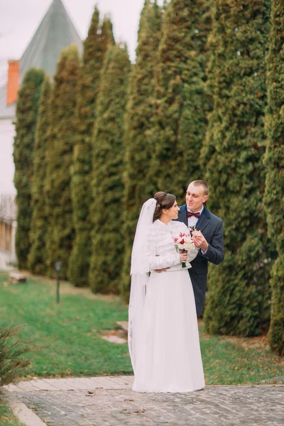 Bello sposo teneramente mano della sua elegante nuova moglie mentre entrambi posa vicino alla fila di cipressi nel parco verde — Foto Stock