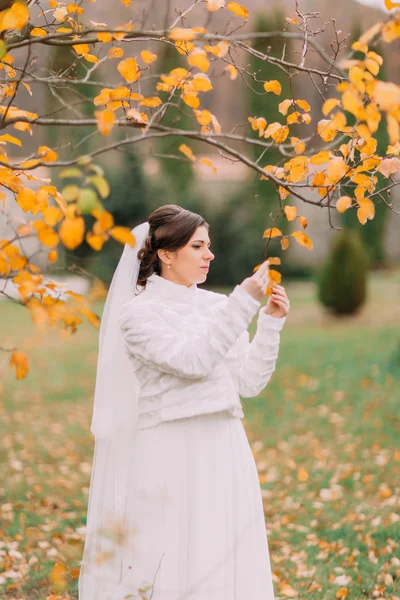 Encantadora novia pensativa en el parque de otoño buscando hojas amarillas — Foto de Stock