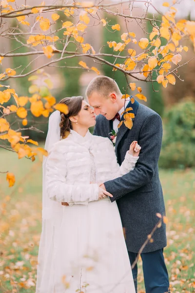 Happy newlywed couple kissing in the beautiful autumn park — Stock Photo, Image