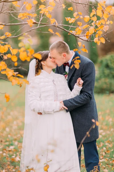 Happy newlywed couple share a passionate kiss in the beautiful autumn park — Stock Photo, Image