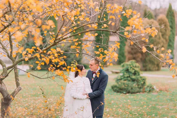 Charming newlywed couple embracing in the beautiful autumn park under tree with yellow leaves — Stock Photo, Image