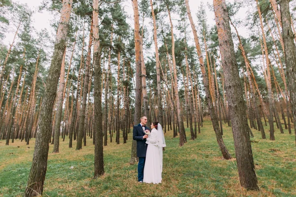 Felice elegante coppia di sposi che si tiene per mano mentre posa nella giovane pineta — Foto Stock