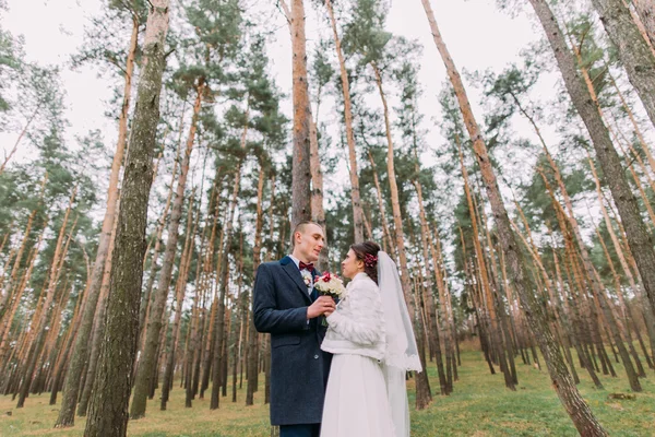 Felice elegante coppia di sposi che si tiene per mano insieme in posa nella giovane pineta — Foto Stock