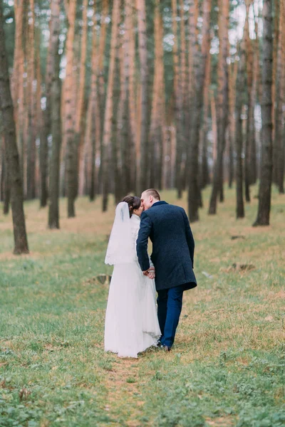 Felice elegante coppia di sposi che si baciano a piedi nella giovane pineta. Vista posteriore — Foto Stock