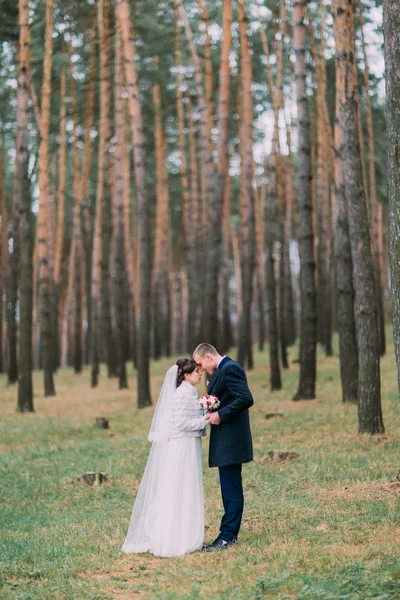 Feliz pareja de recién casados tienen romántico caminar en el bosque de pinos jóvenes —  Fotos de Stock