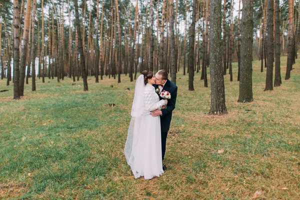 Feliz par recém-casado elegante posando na floresta de coníferas com pinheiros jovens. Retrato de comprimento total — Fotografia de Stock