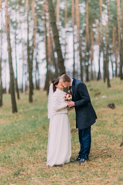 Bonito branco vestido noiva com ela bonito noivo beijos no verde pinho floresta — Fotografia de Stock