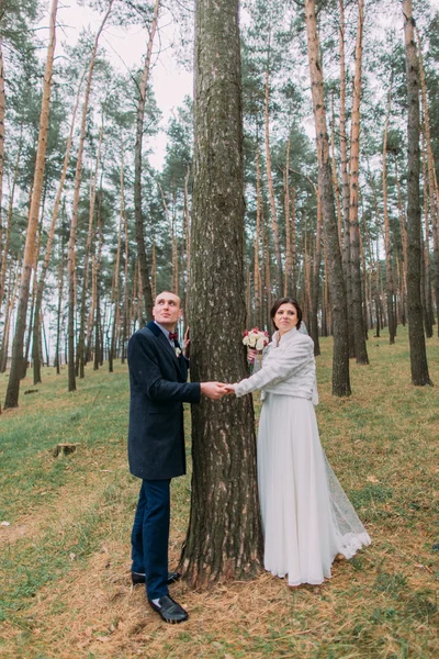 Newlywed outdoor portrait. Cute white dressed bride with her handsome groom posing in green pine forest near high conifer tree — Stock Photo, Image