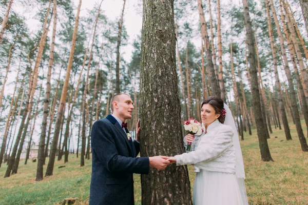 Just mariied outdoor portrait. Cute white dressed bride with her handsome groom posing in green pine forest near high conifer tree — Stock Photo, Image