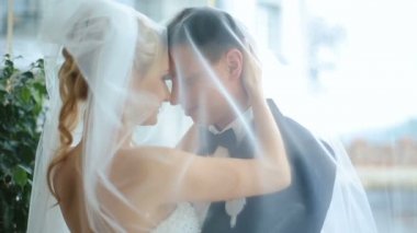 Büyüleyici gelin ve damat yumuşak peçe altında kucaklayan