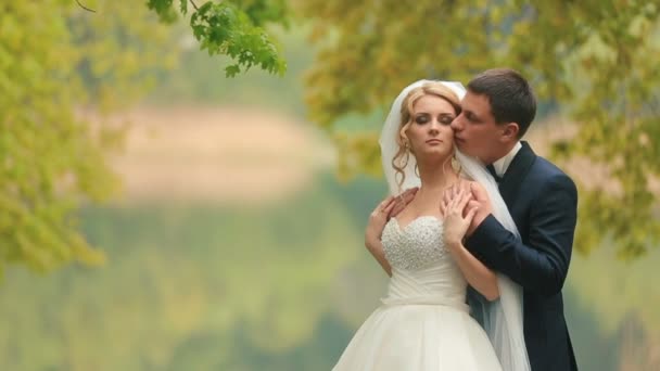 Boda feliz pareja, novia y novio abrazándose en el bosque de otoño. Momento de amor — Vídeos de Stock