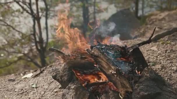 居心地の良いキャンプファイヤーの炎が燃えている。晴れた日に岩場で燃える光の炎 — ストック動画