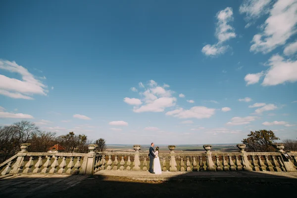 Hochzeitsporträt von glücklichen stilvollen Braut und Bräutigam posiert auf alten Steinterrasse im Frühling Park mit herrlichen bewölkten Himmel Landschaft — Stockfoto