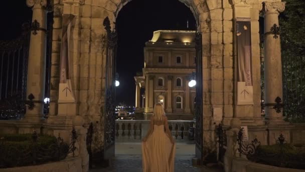 Vista traseira da senhora fabulosa em vestido rosa elegante longo posando na varanda do castelo de mármore velho à noite — Vídeo de Stock