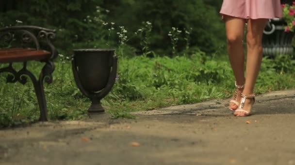 Junge hübsche Frau schlendert auf Allee in schönen Park mit Vintage-Urnen und Bänken — Stockvideo