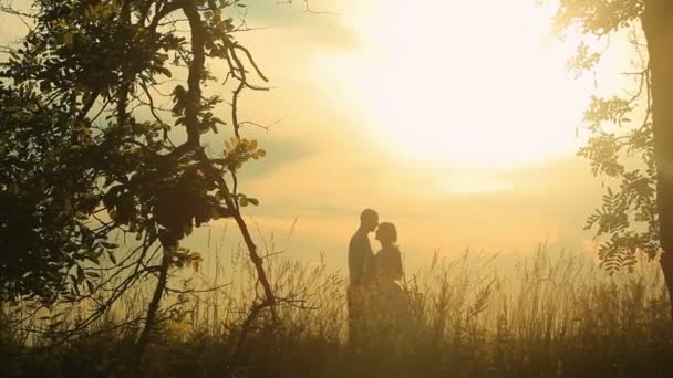 Całowanie na zachodzie słońca, dwóch miłośników całuje na zachód słońca, miłość — Wideo stockowe