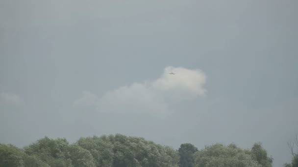 Plane flyes in blue cloudy sky with trees swaying on background — Stock Video