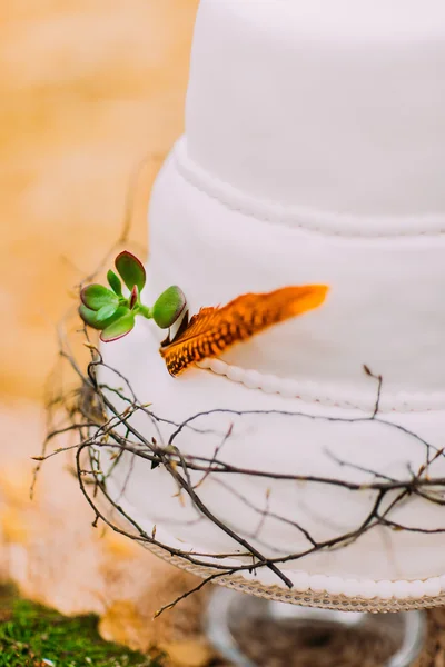 Bolo de casamento de lavanda bonito e natural — Fotografia de Stock