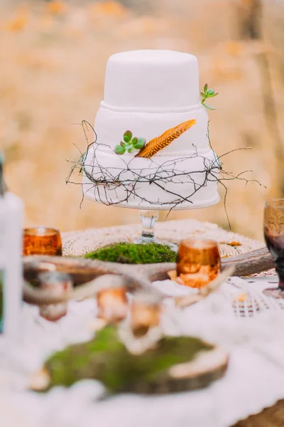Tort weselny lawendy piękna i naturalnego — Zdjęcie stockowe