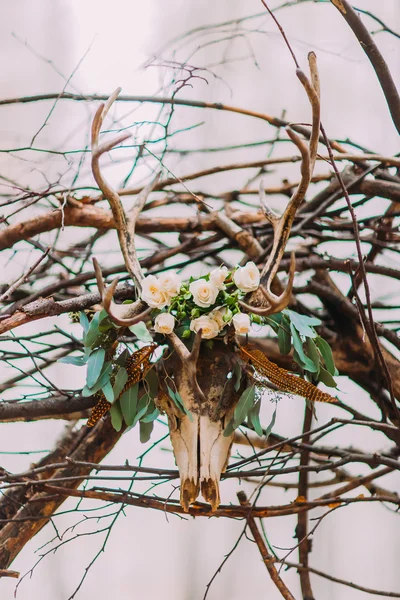 Deer antler med blomma dekoration bröllop — Stockfoto