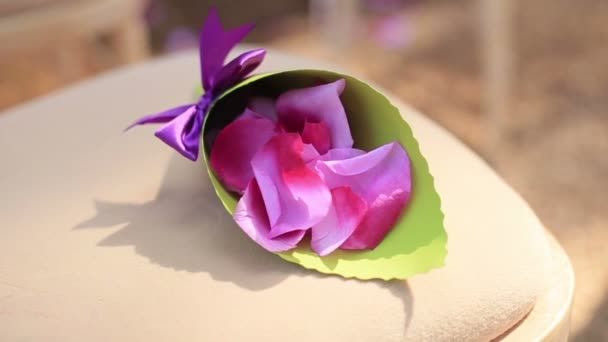 Kleine paarse rozenblaadjes close-up — Stockvideo
