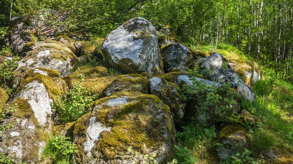Büyük taş yosun kaplı