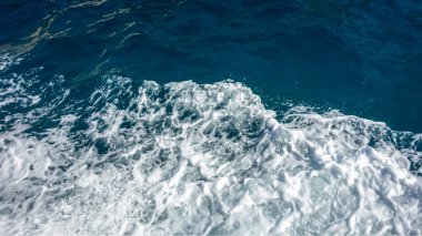 beyaz deniz köpüğü   