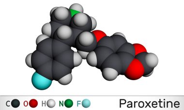 Paroxetine, antidepresan, seçici serotonin geri alma önleyici SSRI, molekül. Depresyon ve anksiyete bozukluklarında kullanılır. Moleküler model. 3B görüntüleme