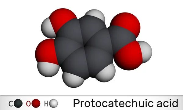 Πρωτοκατεχικό Οξύ Μόριο Pca Είναι Διυδροξυβενζοϊκό Φαινολικό Οξύ Μεταβολίτης Των — Φωτογραφία Αρχείου