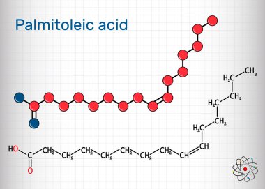 Palmitoleik asit, palmitoleat molekülü. Bu bir omega-7 mononsatürasyonlu yağ asidi. Yapısal kimyasal formül ve molekül modeli. Kafesteki bir kağıt parçası. Vektör illüstrasyonu