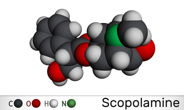 Hyoscine, scopolamine. L-Scopolamine molecule. It is natural plant alkaloid, psychoactive, anticholinergic, antimuscarinic drug. Molecular model. 3D rendering — ストック写真