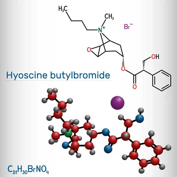 Hyoscine butylbromide, scopolamine butylbromide, butylscopolamine, butylhyoscine molecule. It is antimuscarinic, anticholinergic agent. Structural chemical formula and molecule model — Vector de stock