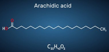 Arakik asit, Eicosanoic, izosanik asit molekülü. Doymuş uzun zincirli yağ asidi. Koyu mavi arkaplanda yapısal kimyasal formül. Vektör illüstrasyonu