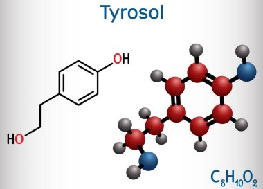 Tyrosol, feniletanoid, antioksidan molekülü. Bu bir anti-aritmi, bir kardiyovasküler ilaç, bir koruyucu madde. Yapısal kimyasal formül ve molekül modeli. Vektör illüstrasyonu