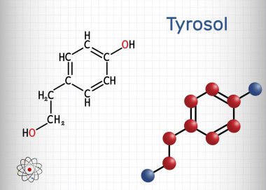 Tyrosol, feniletanoid, antioksidan molekülü. Bu bir anti-aritmi, bir kardiyovasküler ilaç, bir koruyucu madde. Kafesteki bir kağıt parçası. Vektör illüstrasyonu