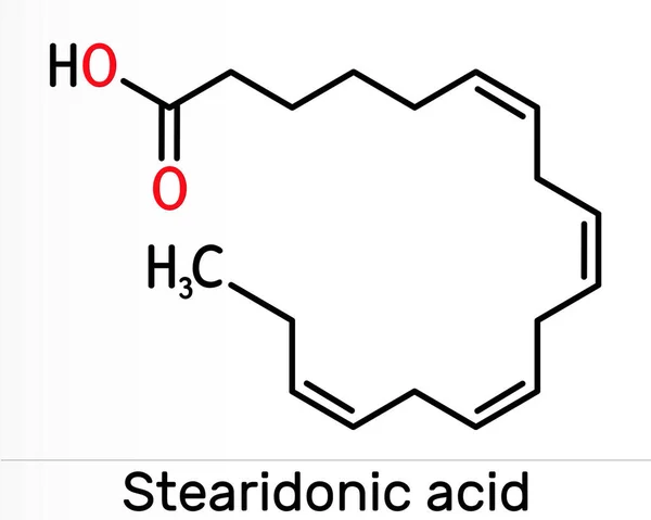 Stearidonsäure Marokkanische Säure Sda Molekül Ist Eine Omega Fettsäure Octadecatetraensäure — Stockfoto