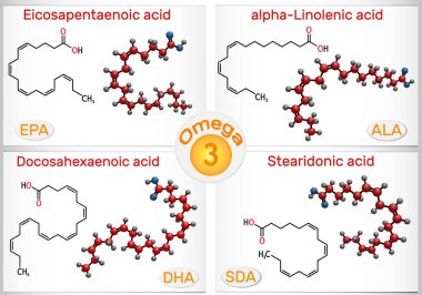Omega-3, doymamış yağ asitleri. Eicosapentaenoic asit EPA, docosahexaenoic asit DHA, stearidonic asit SDA, alfa-linolenik asit ALA. Vektör illüstrasyonu