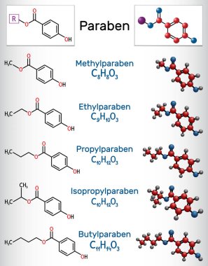 Paraben molekülü. Methylparaben, ethylparaben, propilparaben, izopropilparaben, bütilparaben. Anti mikrobik, mantar önleyici bir madde. Vektör illüstrasyonu