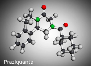 Praziquantel, PZQ, molekül. Kistiseroz, şistosom, sestod ve trematode salgını için antilmintik bir ilaçtır. Moleküler model. 3 boyutlu görüntüleme. 3B illüstrasyon