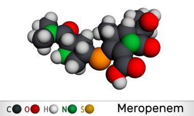 Meropenem molekülü. Geniş spektrumlu bir karbapenem antibiyotiği. Moleküler model. 3 boyutlu görüntüleme. 3B illüstrasyon