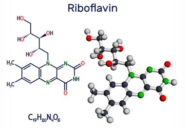 Riboflavin, B2 vitamini molekülü. Besin takviyesi olarak kullanılan besinlerde bulunan, suda çözünen bir flavin. Yapısal kimyasal formül ve molekül modeli