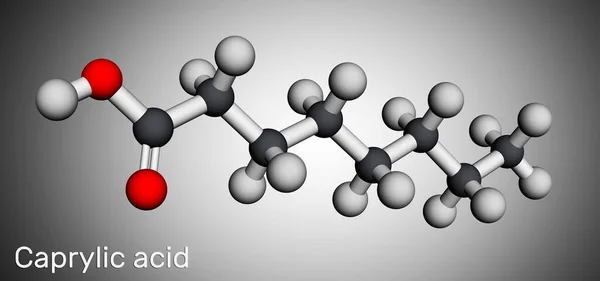 Ácido caprílico, molécula de ácido octanoico. Es ácido graso y carboxílico saturado de cadena recta. Las sales se conocen como octanoatos o caprilatos. Modelo molecular. Renderizado 3D — Foto de Stock