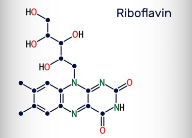 Riboflavin, B2 vitamini molekülü. Besin takviyesi olarak kullanılan besinlerde bulunan, suda çözünen bir flavin. İskelet kimyasal formülü