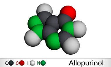 Allopurinol molekülü. Uyuşturucu, yüksek kan ürik asit seviyelerini düşürmek için kullanılan xanthine oxidase inhibitörüdür. Moleküler model. 3 boyutlu görüntüleme. 3B illüstrasyon