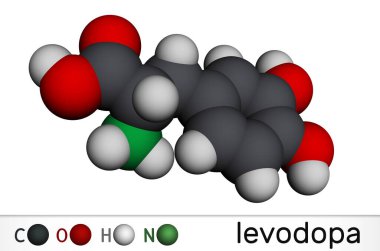 I-DOPA, levodopa molekülü. Parkinson hastalığının tedavisinde dopamin konsantrasyonunu arttırmak için kullanılan bir amino asit. Moleküler model. 3 boyutlu görüntüleme. Görüntü