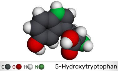 5-Hidroksitriptofan, 5-HTP, hidroksitriptofan, oksitriptan molekül. Doğal olarak oluşan amino asit, triptofan türevi. Moleküler model. 3 boyutlu görüntüleme. 3B illüstrasyon