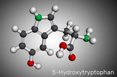 5-Hidroksitriptofan, 5-HTP, hidroksitriptofan, oksitriptan molekül. Doğal olarak oluşan amino asit, triptofan türevi. Moleküler model. 3B görüntüleme