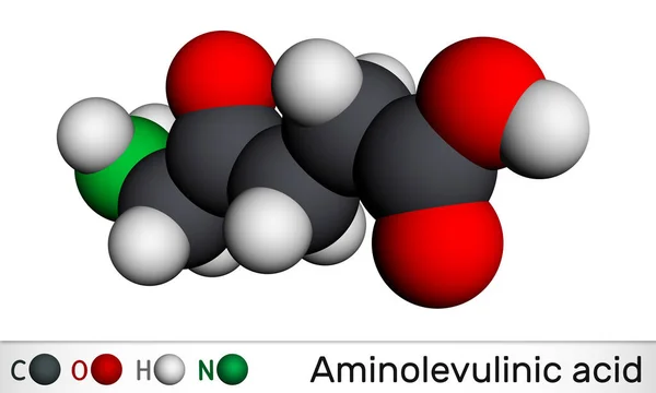 Αμινολεβουλινικό Οξύ Μόριο Dala 5Ala Είναι Ένα Ενδογενές Πρωτεϊνογόνο Αμινοξύ — Φωτογραφία Αρχείου